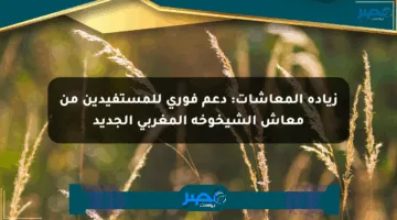 زيادة المعاشات: دعم فوري للمستفيدين من معاش الشيخوخة المغربي الجديد